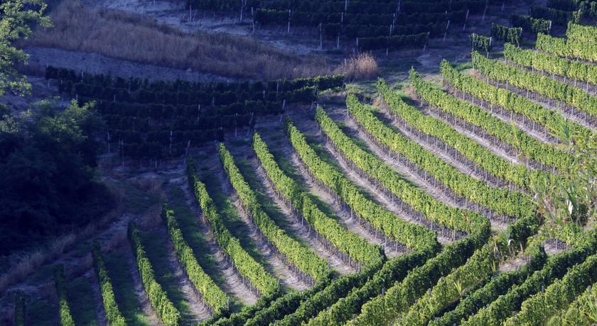 Cascina Arcangelo Raffaele Verduno Ngoại thất bức ảnh