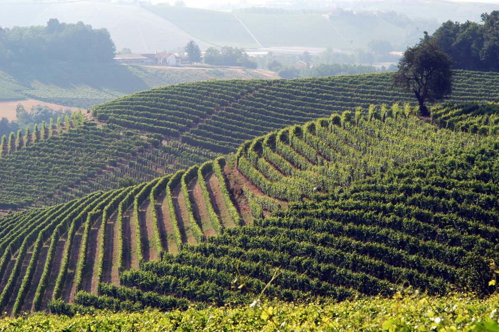 Cascina Arcangelo Raffaele Verduno Ngoại thất bức ảnh