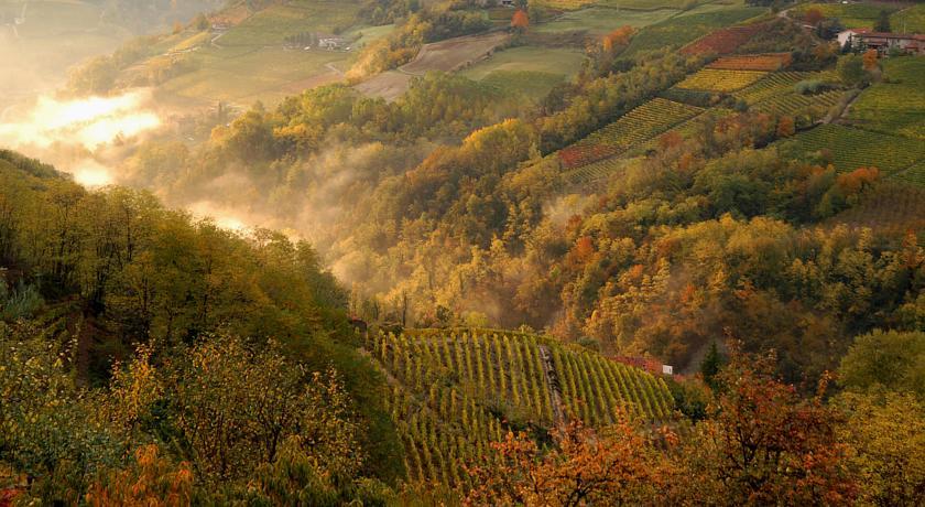 Cascina Arcangelo Raffaele Verduno Ngoại thất bức ảnh