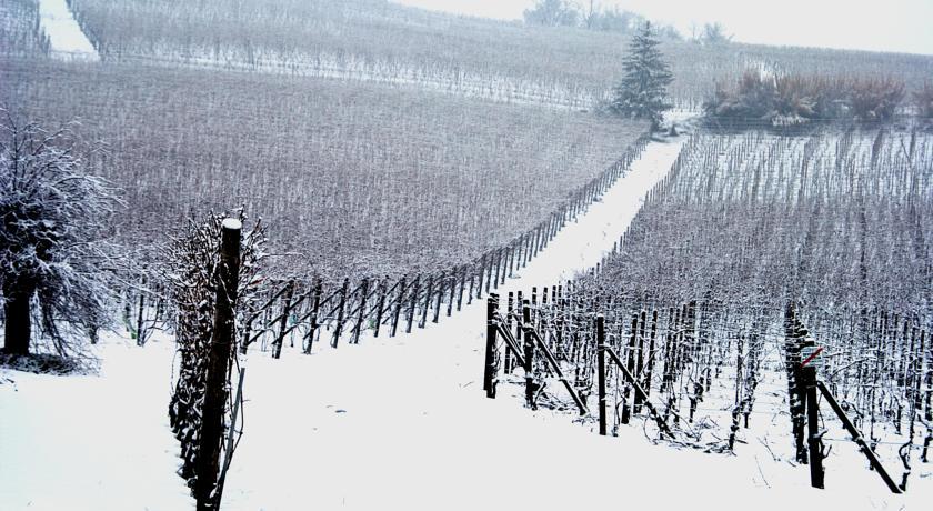Cascina Arcangelo Raffaele Verduno Ngoại thất bức ảnh