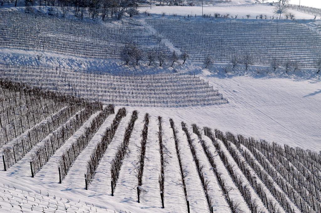 Cascina Arcangelo Raffaele Verduno Ngoại thất bức ảnh