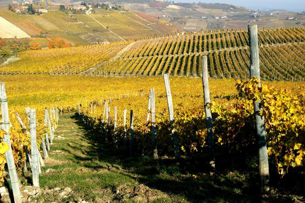 Cascina Arcangelo Raffaele Verduno Ngoại thất bức ảnh