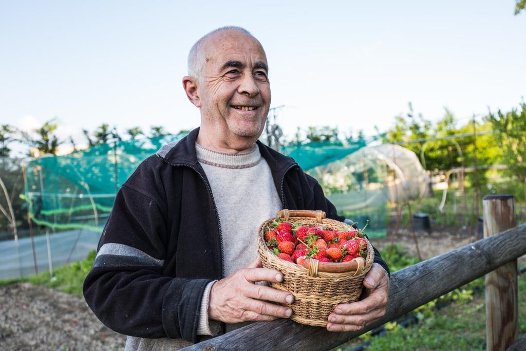 Cascina Arcangelo Raffaele Verduno Ngoại thất bức ảnh