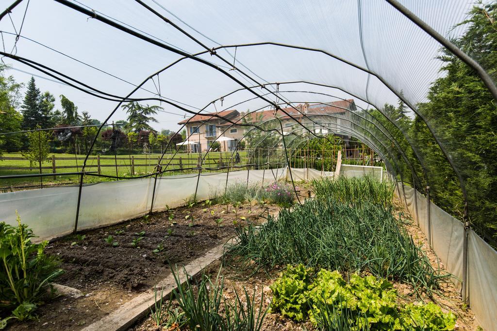 Cascina Arcangelo Raffaele Verduno Ngoại thất bức ảnh